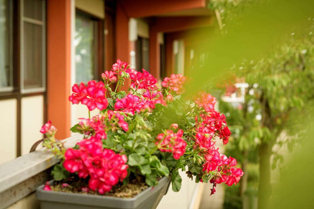 Greet Brussels Airport Hotel